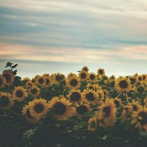 Meet your Posher, Chelsea